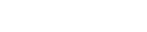 Edemo Electric Bikes
