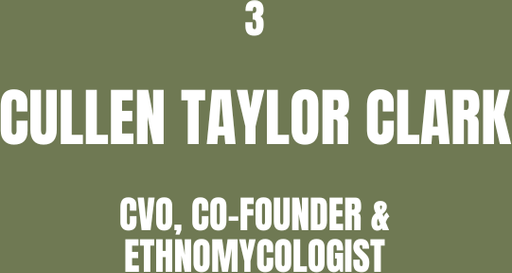 CULLEN TAYLOR CLARK