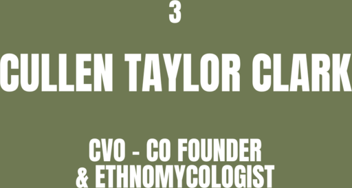 CULLEN TAYLOR CLARK