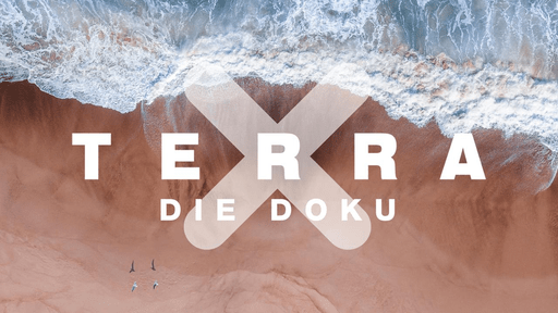 Terra X