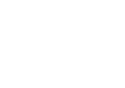 stussy