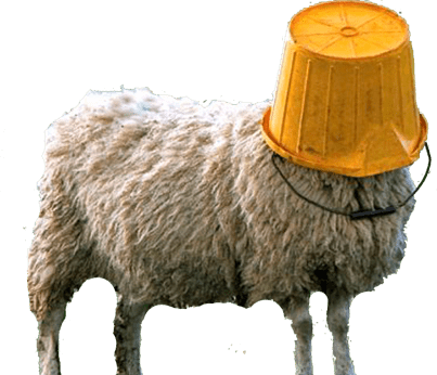 TheBucket