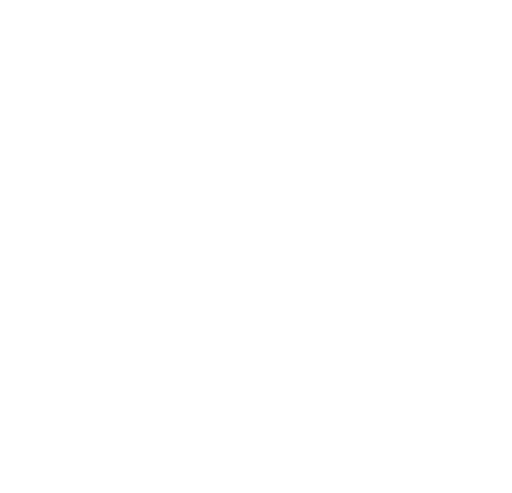 Ernst Welti AG