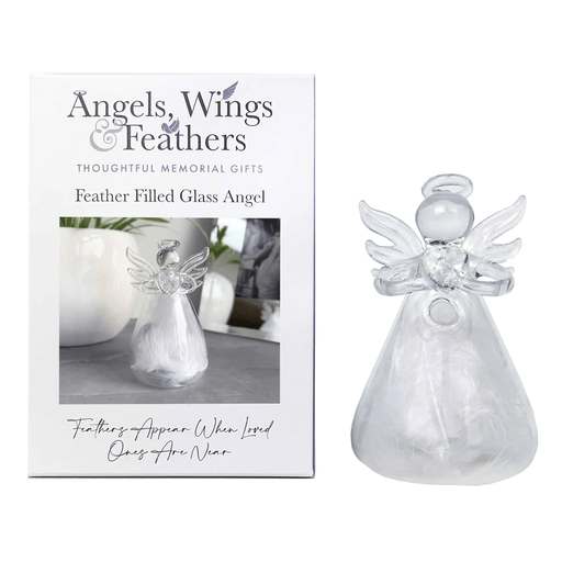 Feather filled glass angel