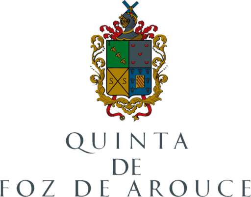 qta foz arcue