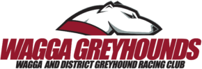 logo22