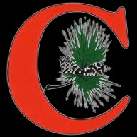 Camden CC