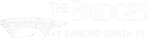 The Bridges 