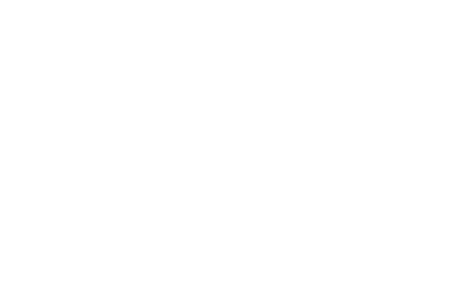 beretta