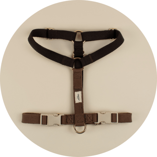 Harnesses
