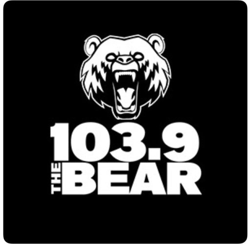 The bear