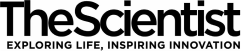 The Scientist